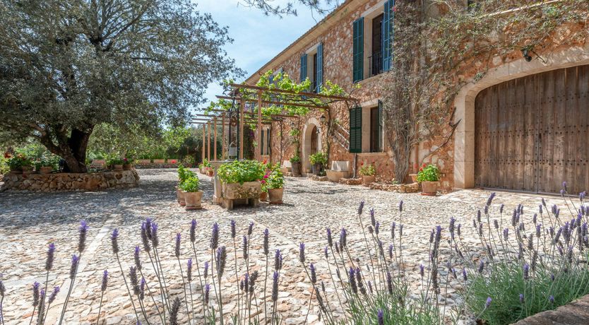 Photo of Just a Bit of Sunshine