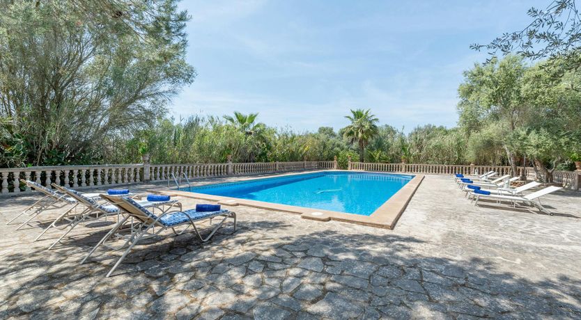 Photo of Just a Bit of Sunshine