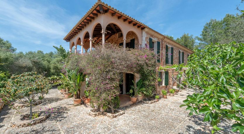 Photo of Just a Bit of Sunshine