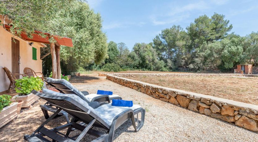 Photo of Just a Bit of Sunshine