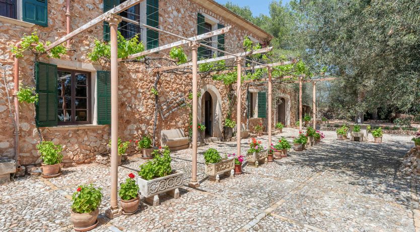 Photo of Just a Bit of Sunshine