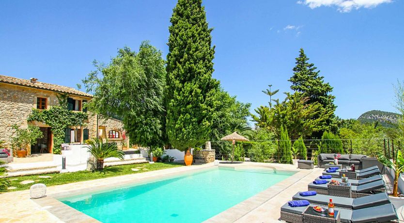 Photo of Grove of the Century