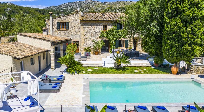 Photo of Grove of the Century