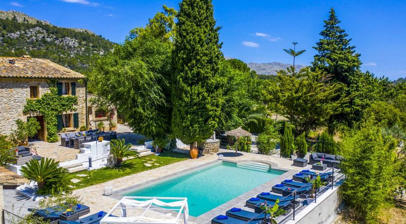 Photo of Grove of the Century