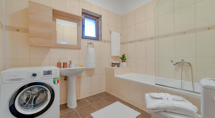 Photo of The Rose of Apollo