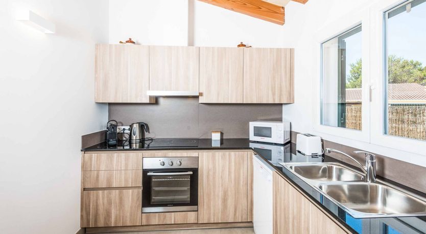 Photo of Eucalyptus Citrus