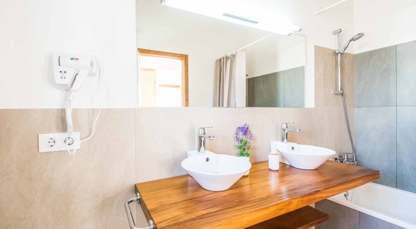 Photo of Eucalyptus Citrus