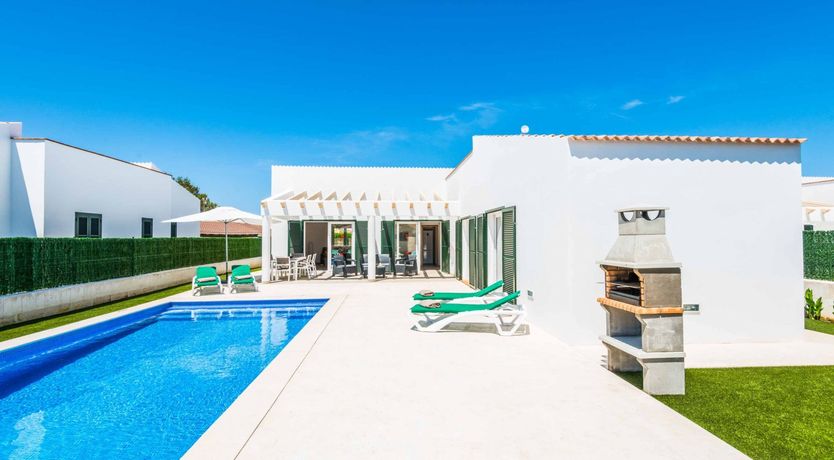 Photo of Eucalyptus Citrus