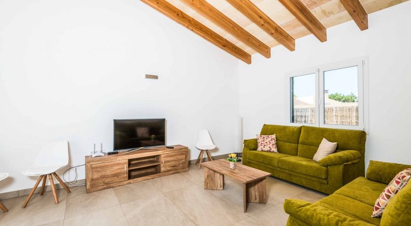 Photo of Eucalyptus Citrus