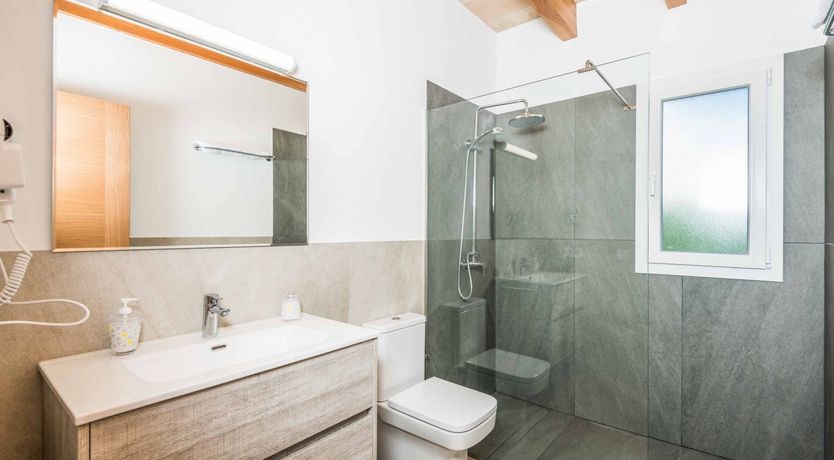 Photo of Eucalyptus Citrus