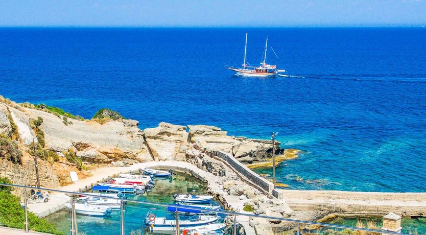 Photo of Bold, Blue & Beautiful