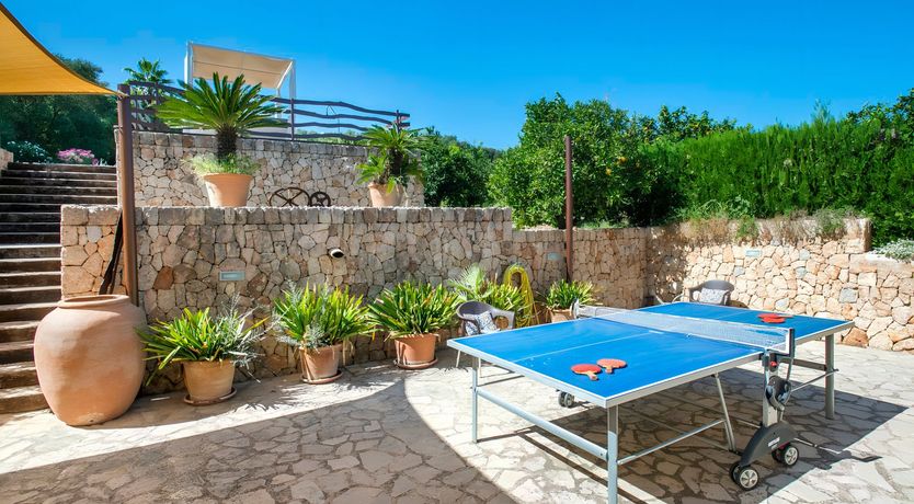 Photo of The Sunflower Field