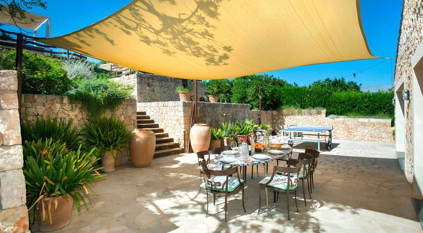 Photo of The Sunflower Field