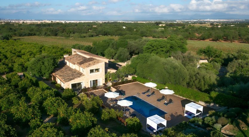 Photo of The Sunflower Field
