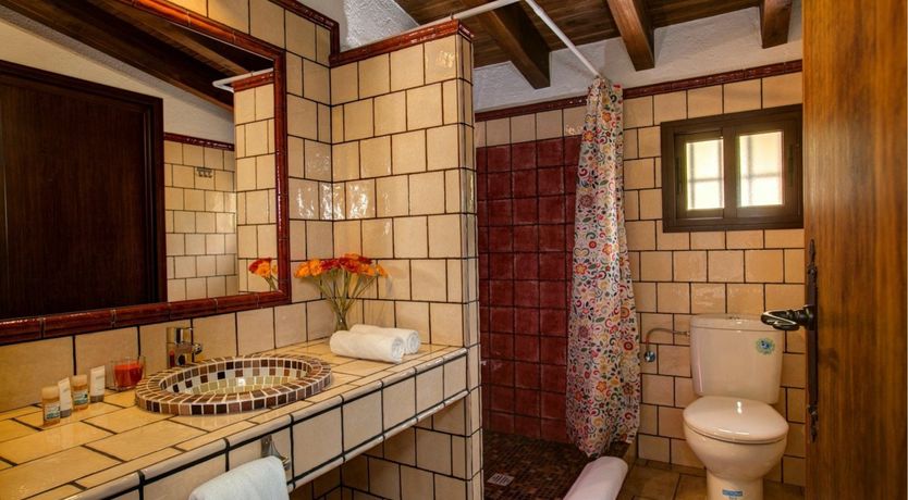 Photo of Palm Trees & Peacocks