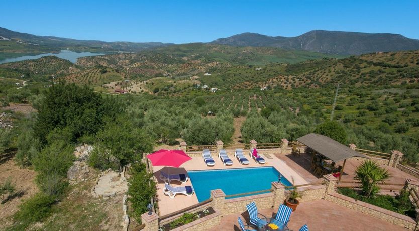 Photo of Palm Trees & Peacocks