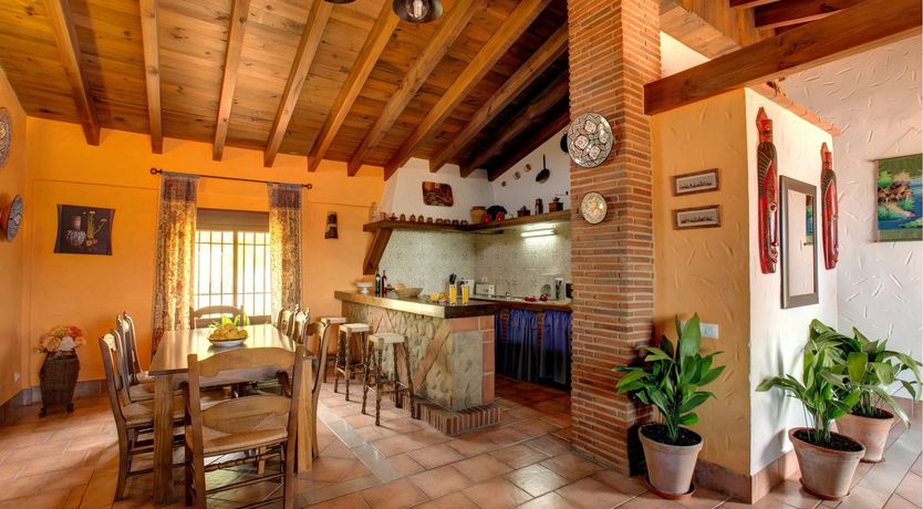 Photo of Palm Trees & Peacocks