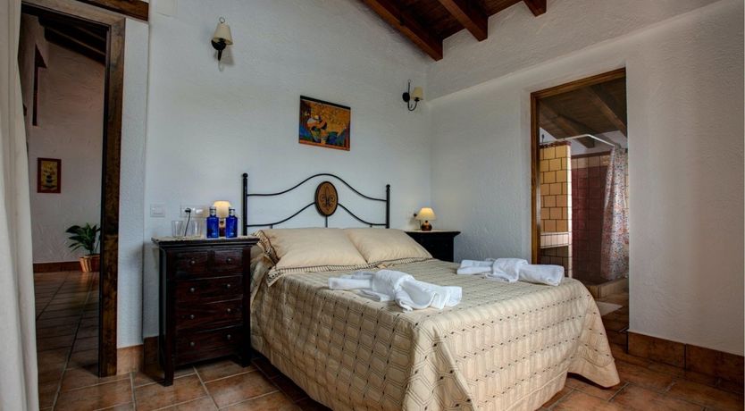 Photo of Palm Trees & Peacocks