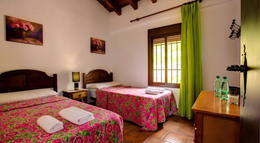 Photo of Palm Trees & Peacocks