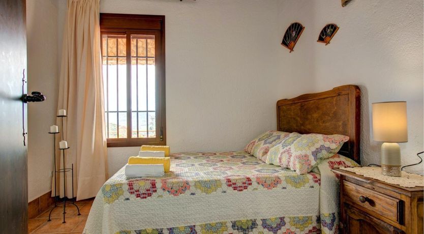 Photo of Palm Trees & Peacocks