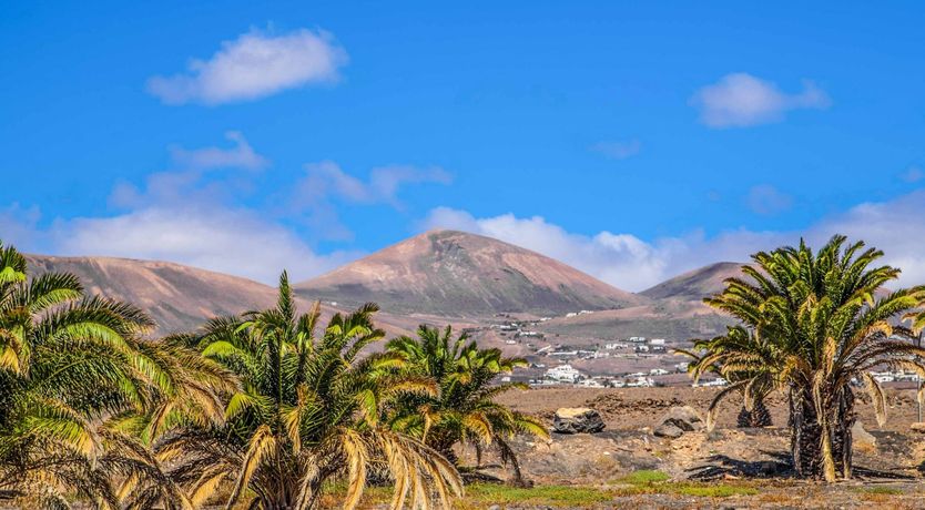 Photo of Ivory Atlantis