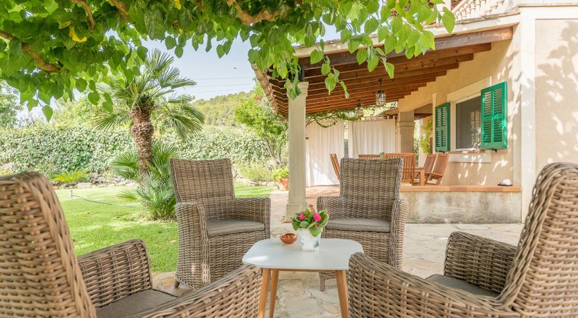 Photo of The Little Seashell