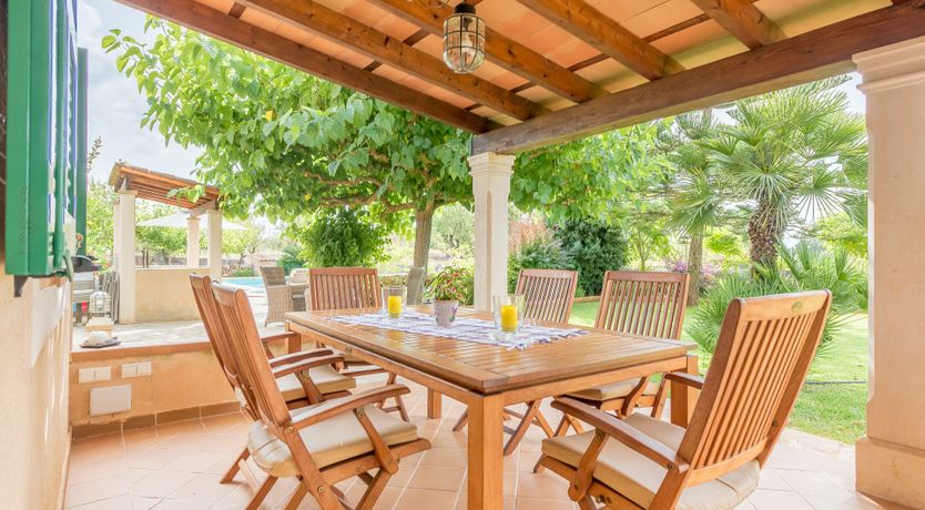 Photo of The Little Seashell