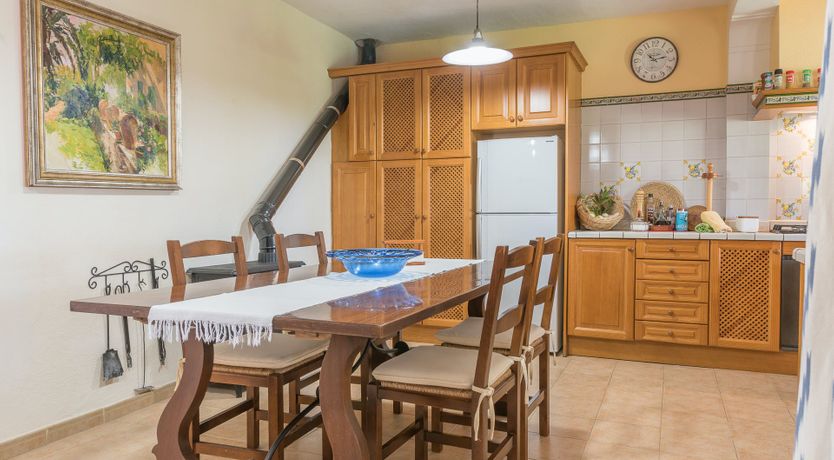 Photo of The Little Seashell