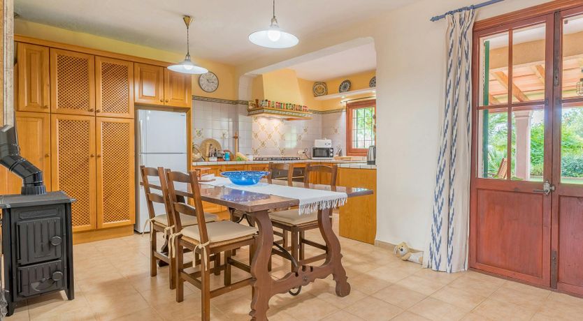 Photo of The Little Seashell