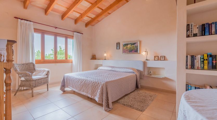 Photo of The Little Seashell