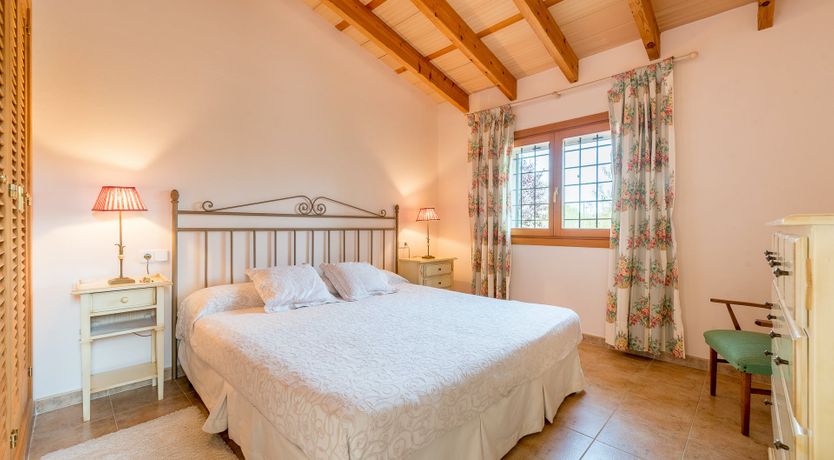 Photo of The Little Seashell