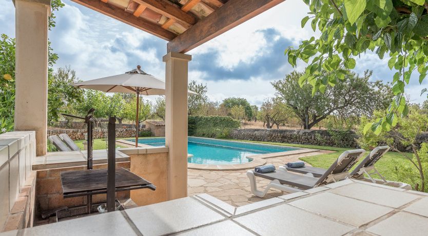 Photo of The Little Seashell