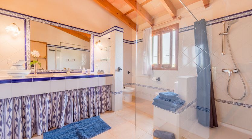 Photo of The Little Seashell