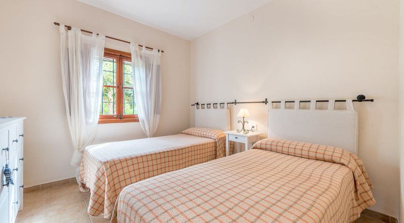 Photo of The Little Seashell