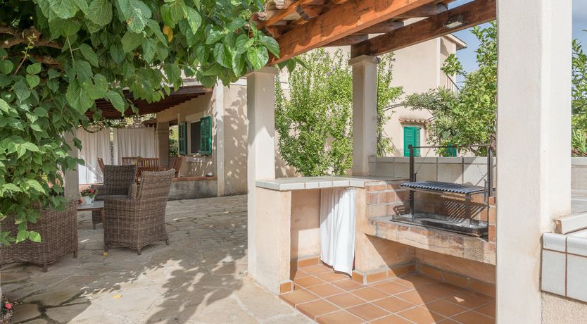 Photo of The Little Seashell