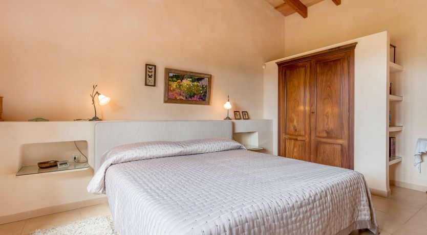 Photo of The Little Seashell