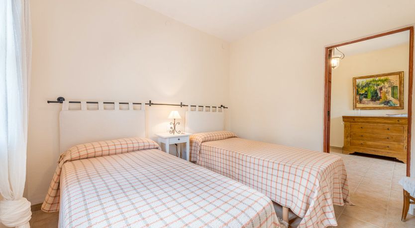 Photo of The Little Seashell