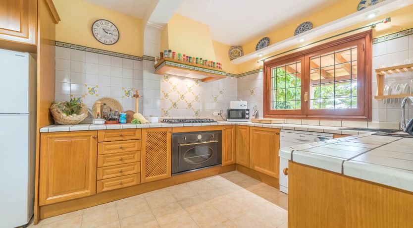 Photo of The Little Seashell