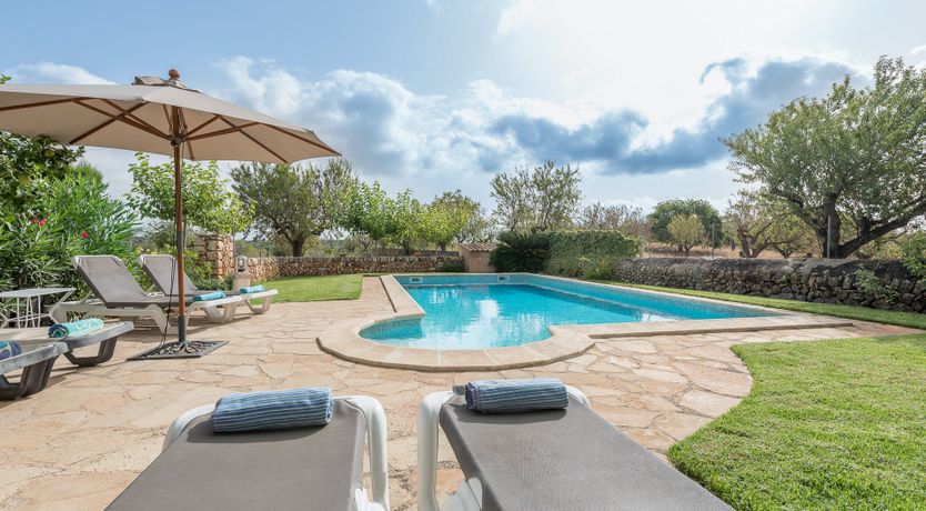 Photo of The Little Seashell