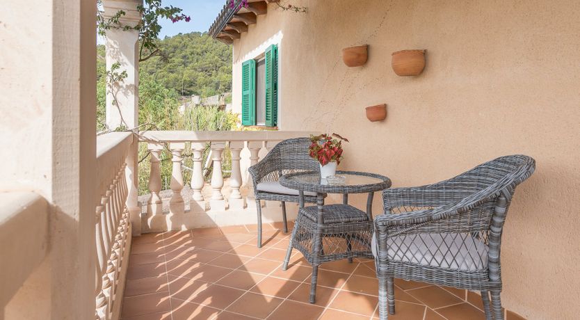 Photo of The Little Seashell