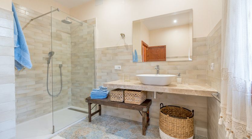 Photo of The Little Seashell