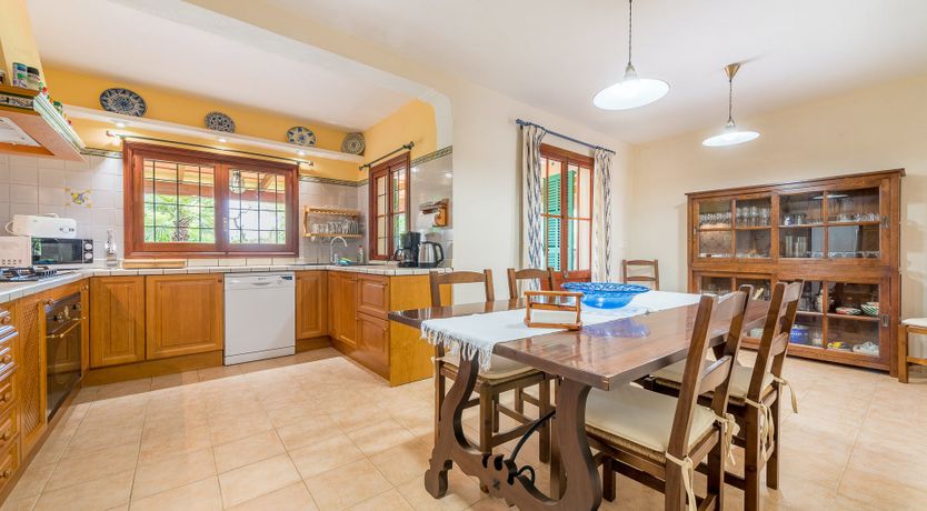 Photo of The Little Seashell