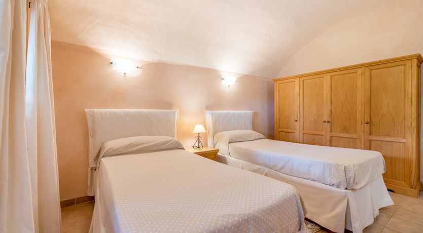 Photo of The Little Seashell