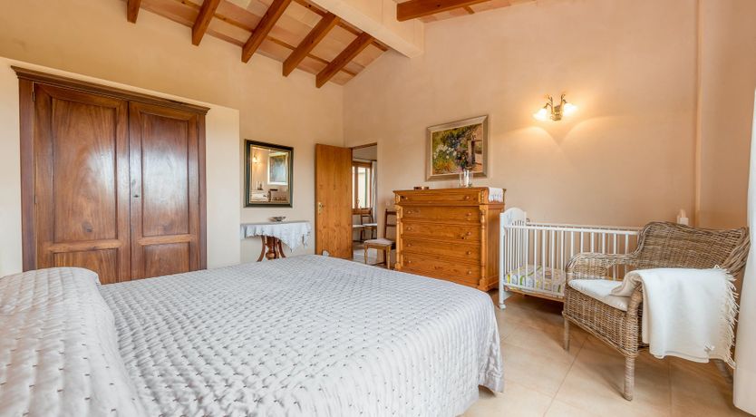 Photo of The Little Seashell