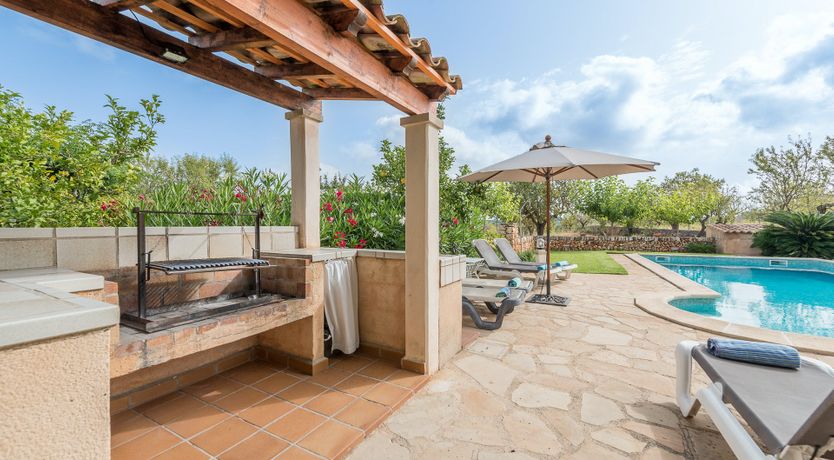 Photo of The Little Seashell