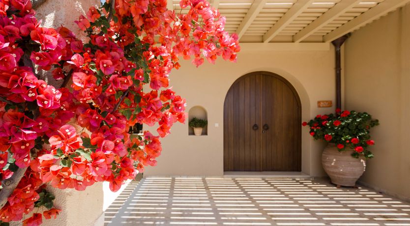 Photo of The Glowing Sun