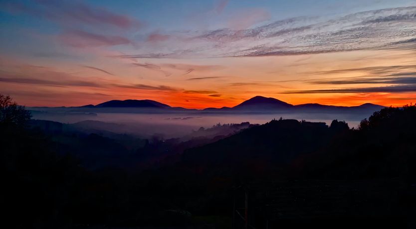 Photo of Drink in the Serenity