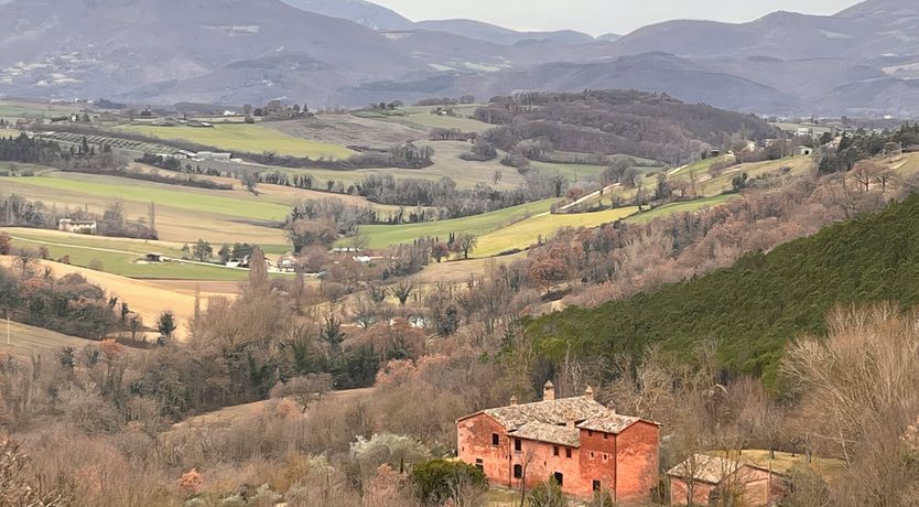 Photo of Drink in the Serenity