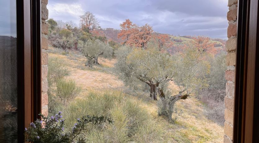 Photo of Drink in the Serenity