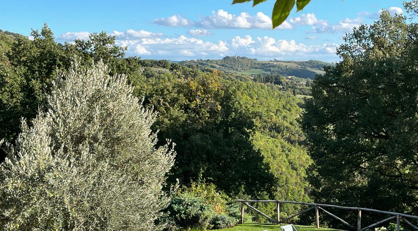 Photo of Drink in the Serenity